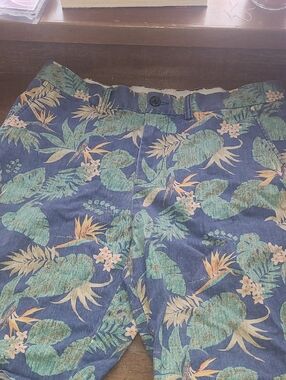 Old Navy Mens Shorts